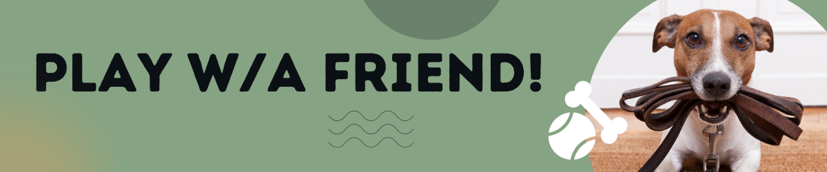 background banner
