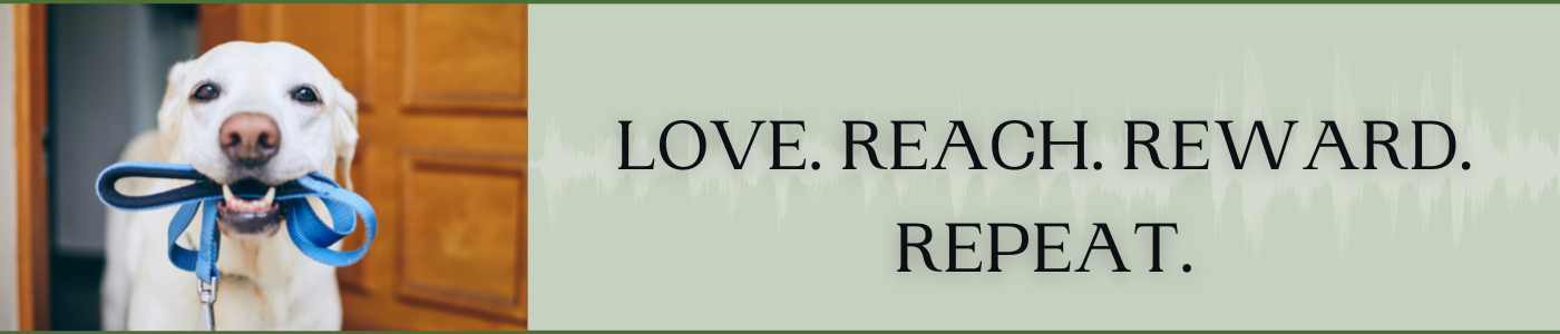 background banner