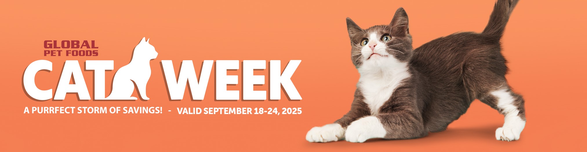 Cat Week September 2025