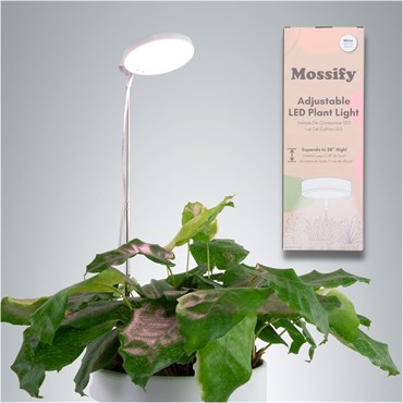 Mossify LED Plant Light