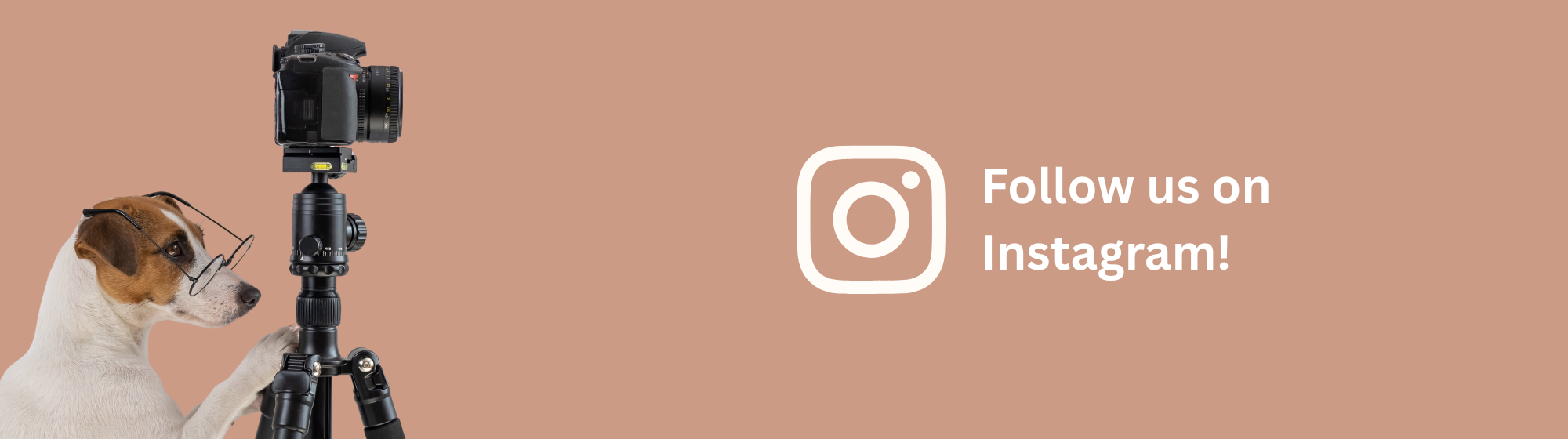 follow us on instagram