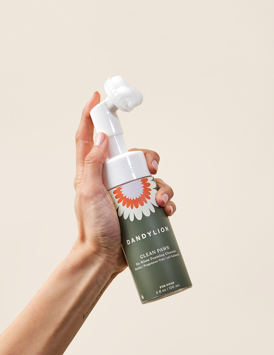 Dandylion Clean Paws No-Rinse Foaming Cleanser for Dogs, 150-mL