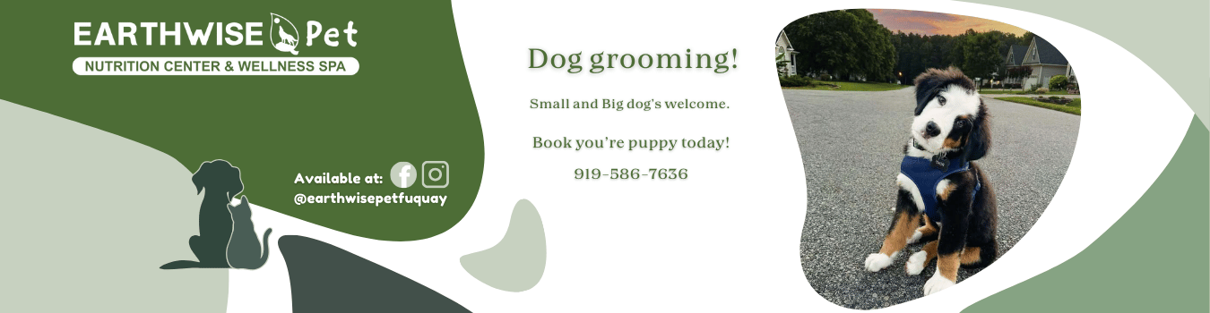 Dog grooming!