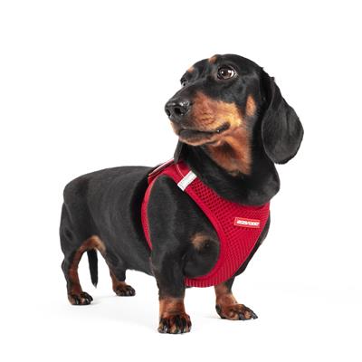 EzyDog FormFit Harness for Small Dogs, XSmall, Red