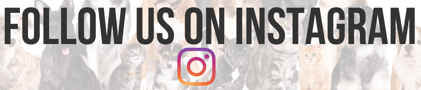 Follow Us On Instagram