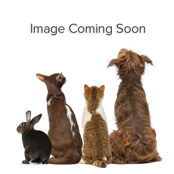 Casual Canine Knit Sweater Chive, XS