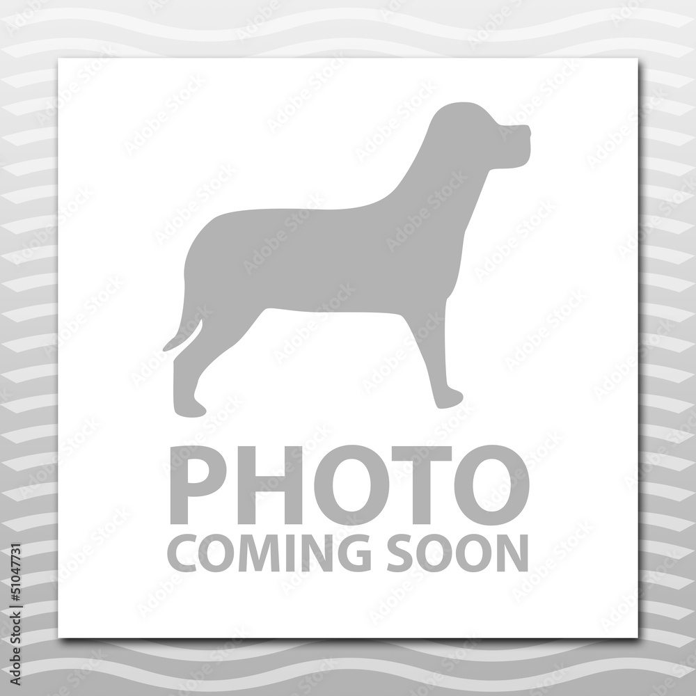 The Worthy Dog Plain London Raincoat Blue, M