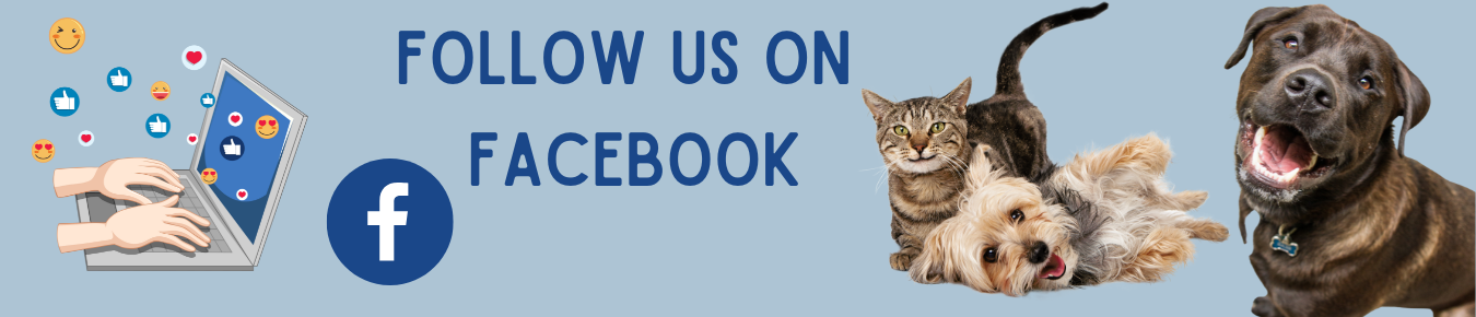 Follow us on Facebook