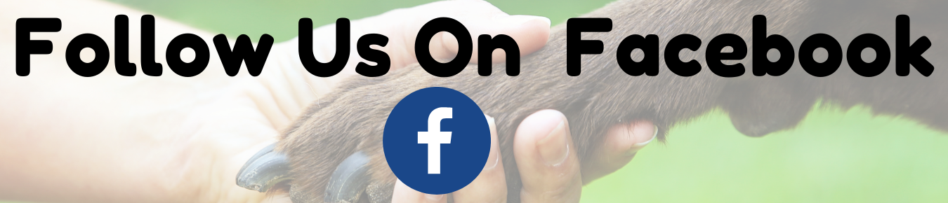 Follow us on Facebook