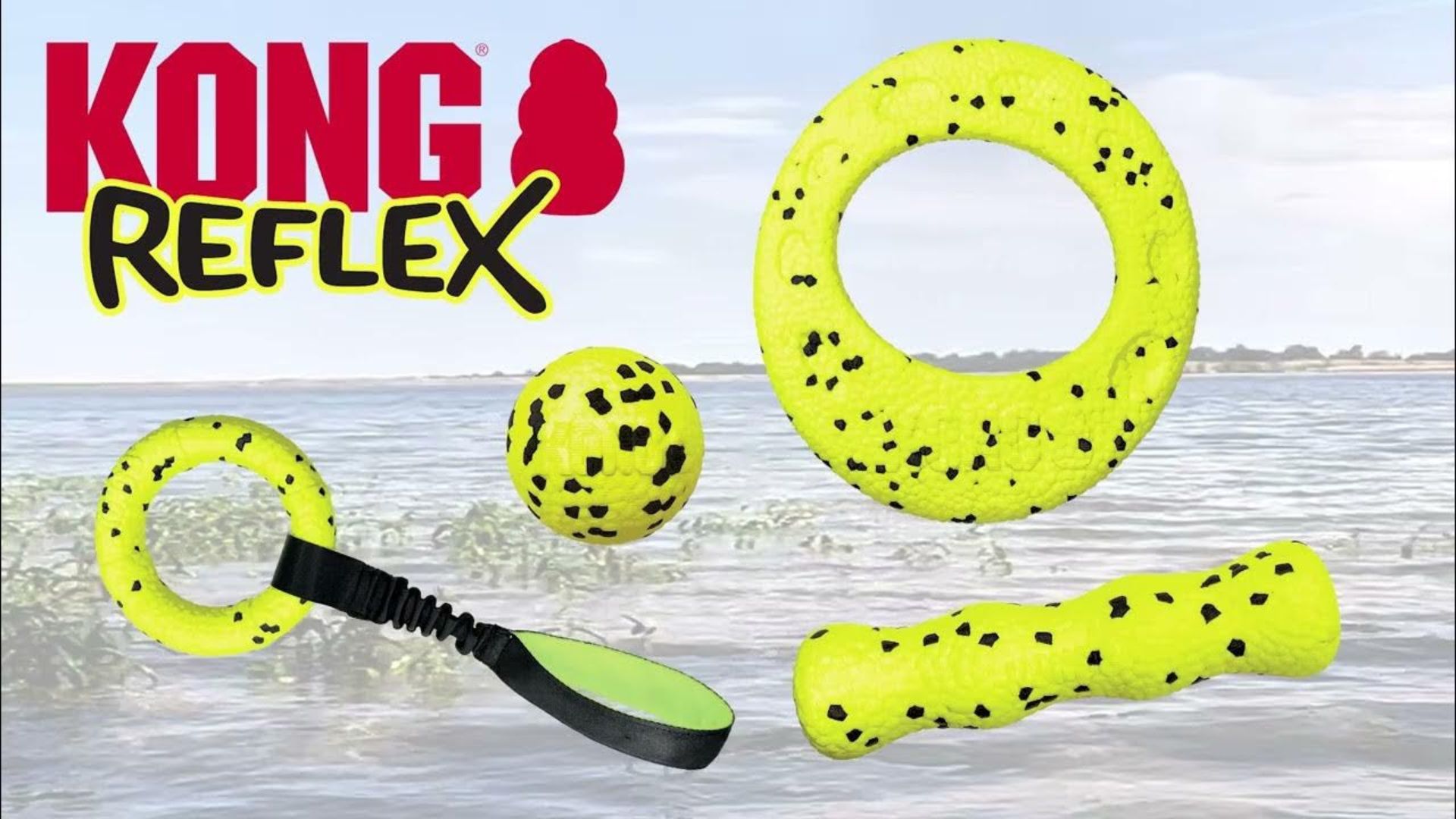 Kong Reflex Toys