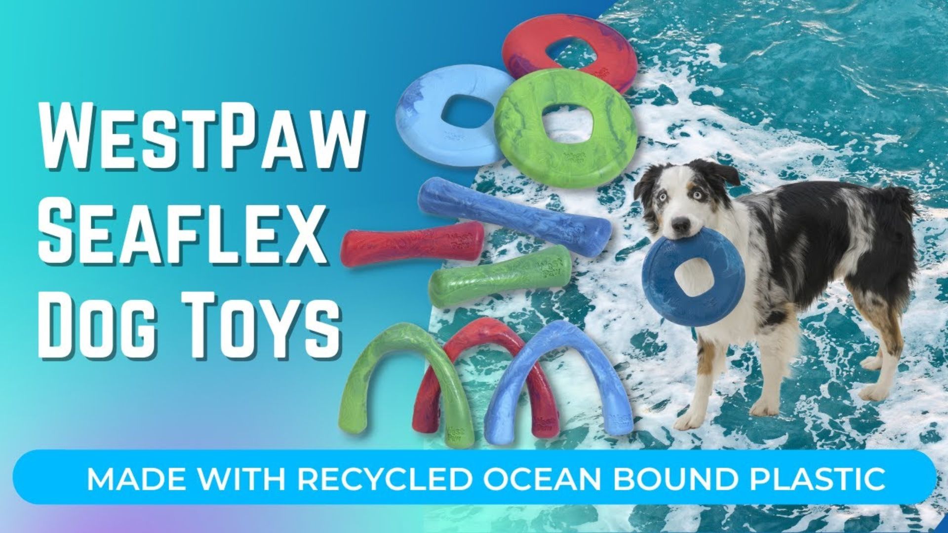 West Paw Floating Toys