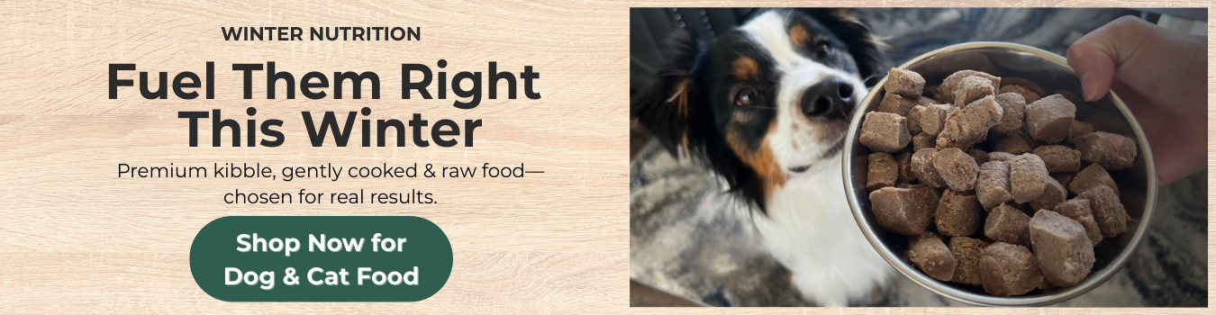 Shop Dog and Cat Food