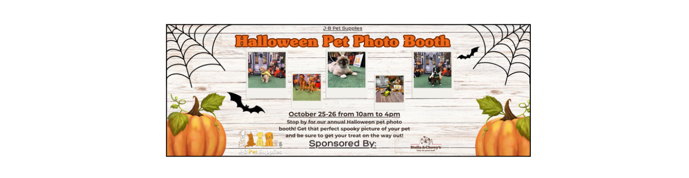 Halloween Photos