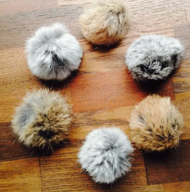 Max Cat Toy