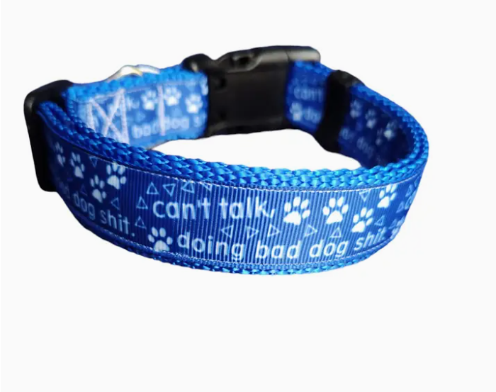 Doot's Pets: Dog Leash (Can't Talk Doing Bad Dog $*@! 6Ft)