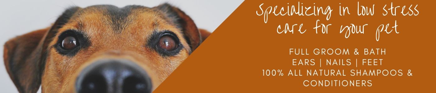 background banner