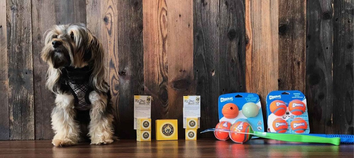 Chuckit Toys