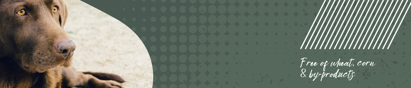 background banner