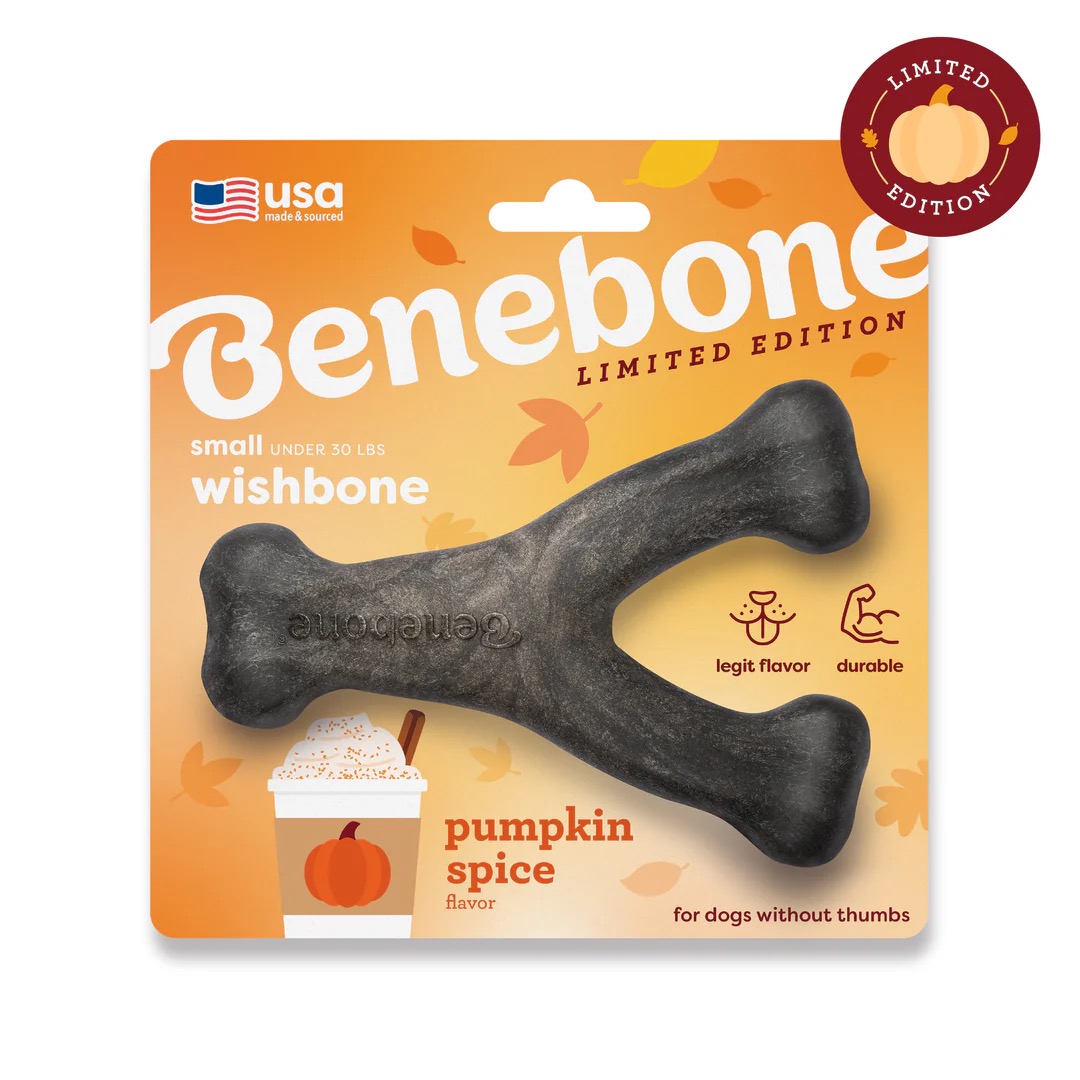 Benebone Wishbone Pumpkin Spice Chew Toy Small