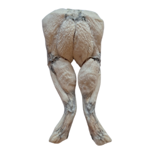 BONES & CO DOG FREEZE DRIED FROG LEGS