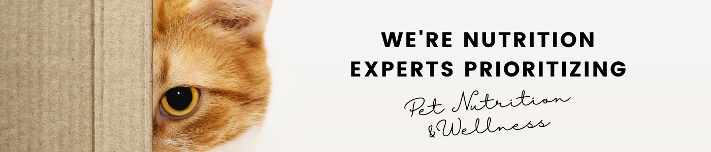 background banner