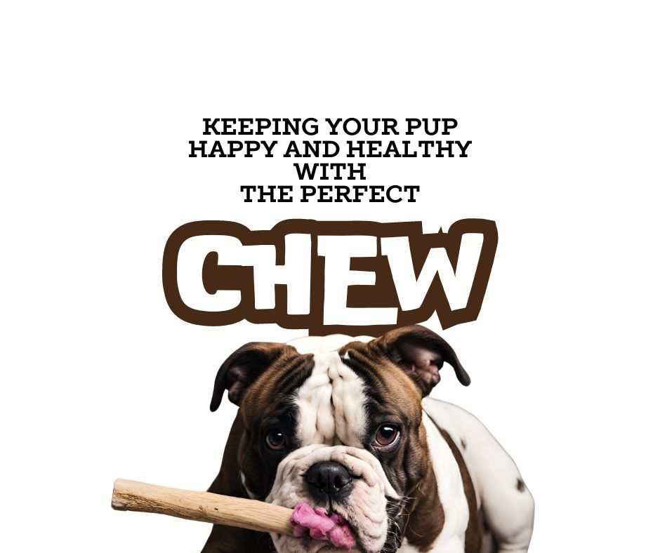 Earthwise-Pet-Chew-Sticks-Blog-Image