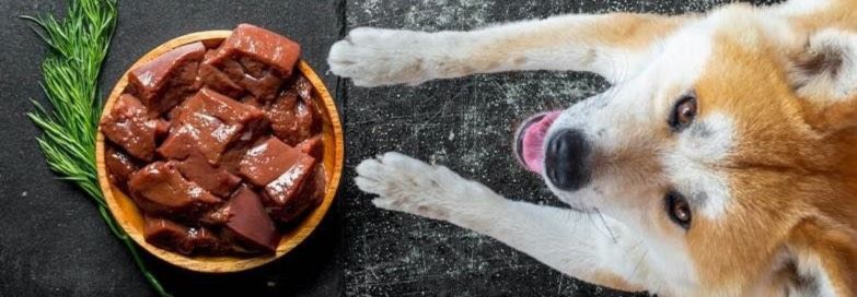 Dog With Liver Earthwise pet Marysville