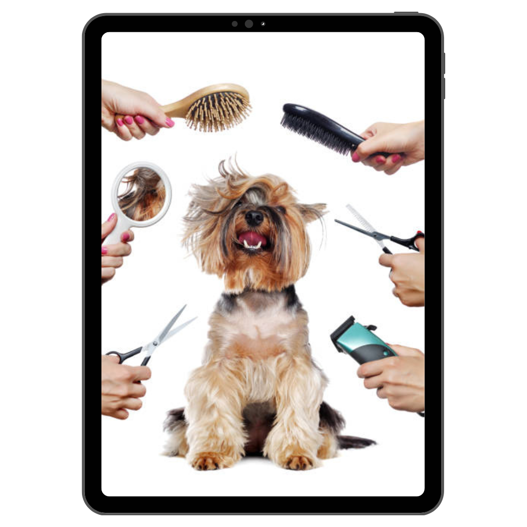 Dog-Grooming