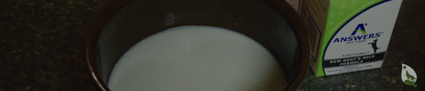 background banner