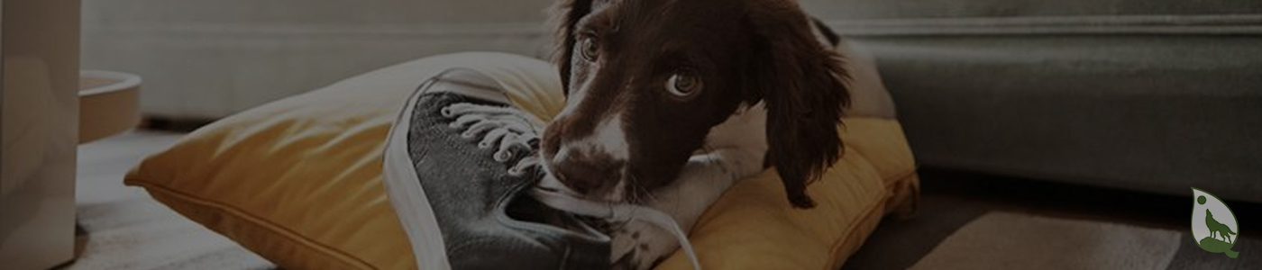 background banner
