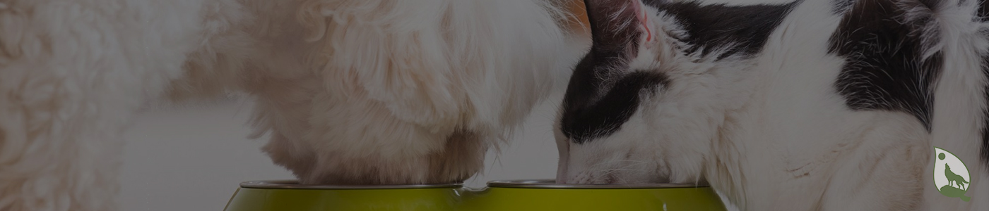 background banner