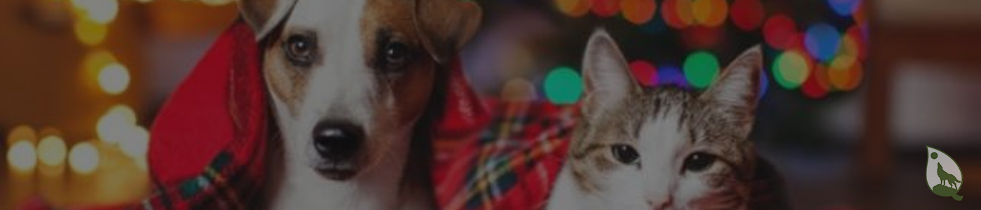 background banner