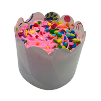 PRPY BIRTHDAY CUPCAKE PINK