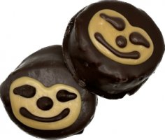 PRPY SLOTH OAT PATTY