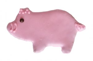 PRPY PIG