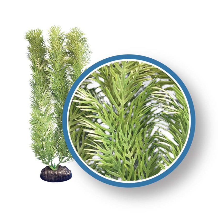WECO FW PRO GREEN CABOMBA 6in