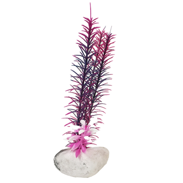 ROCK PLANT CL 8"