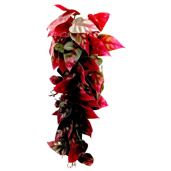 PP REPTILE VINE-GRN/RED 12in