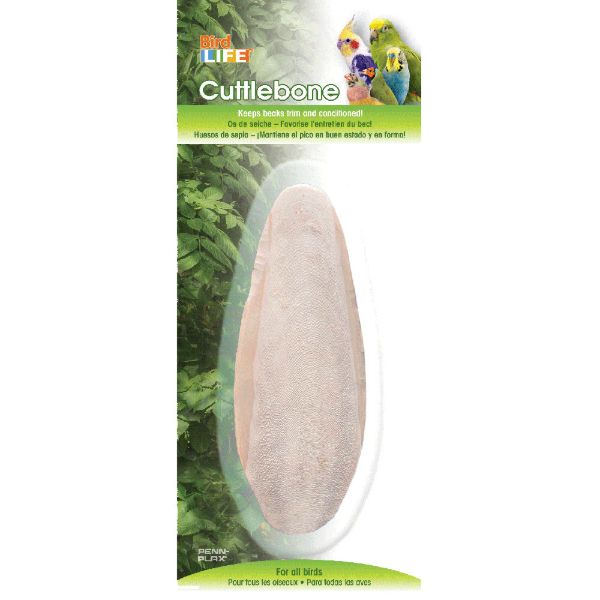 PP CUTTLEBONE SINGLE SM