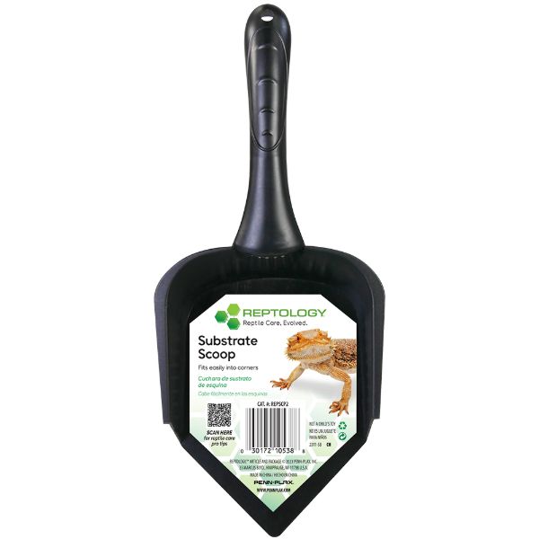 Reptolog Corner Reptile Scoop