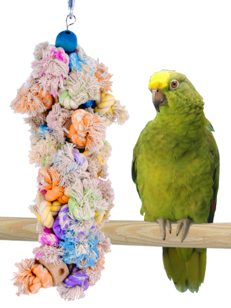 SHAGGY-KABOB FOR PARROTS & LG BIRDS