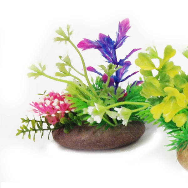 ROCK PLANTS 3IN