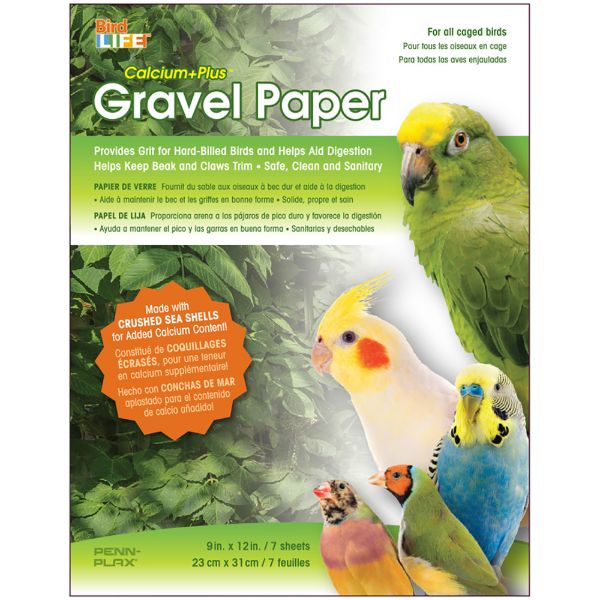 PP GRAVEL PAPER 9X12