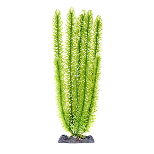 PP SINKER CLUB MOSS SM