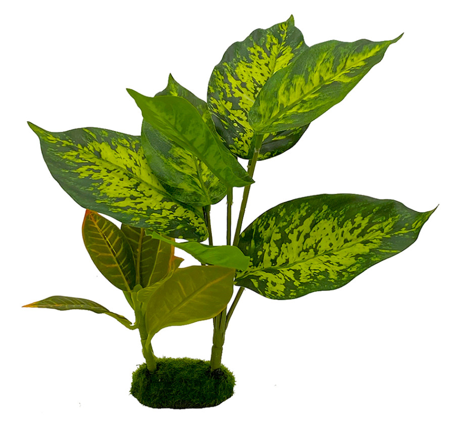 Blue Ribbon Pet Products Tropical Gardens Dieffenbachia Aquarium Plant