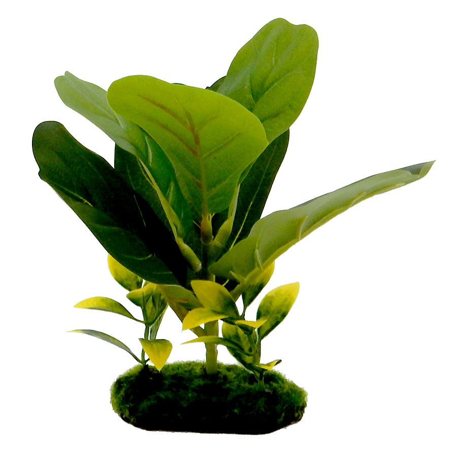 Blue Ribbon Pet Products Tropical Gardens Fiddle Leaf Aquarium Plant