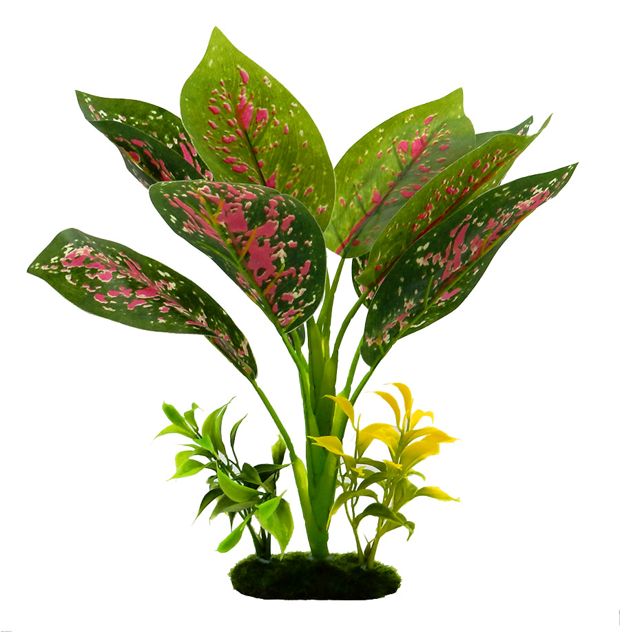 Blue Ribbon Pet Products Tropical Gardens Chinese Evergreen Aquarium Plant