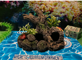 ORM Ornamounts Driftwood
