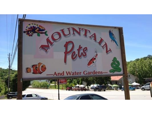 store banner