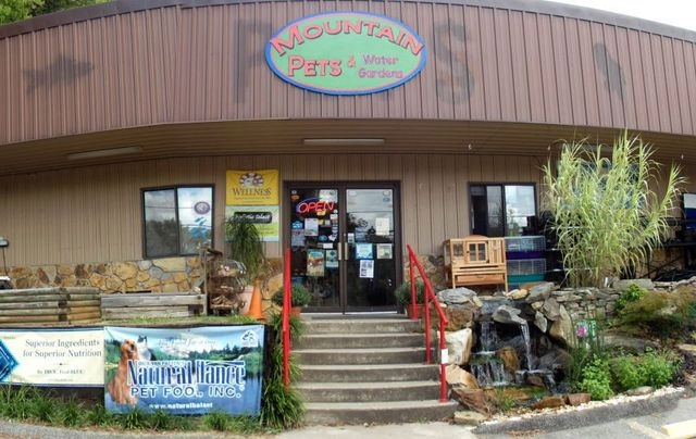 Store Image